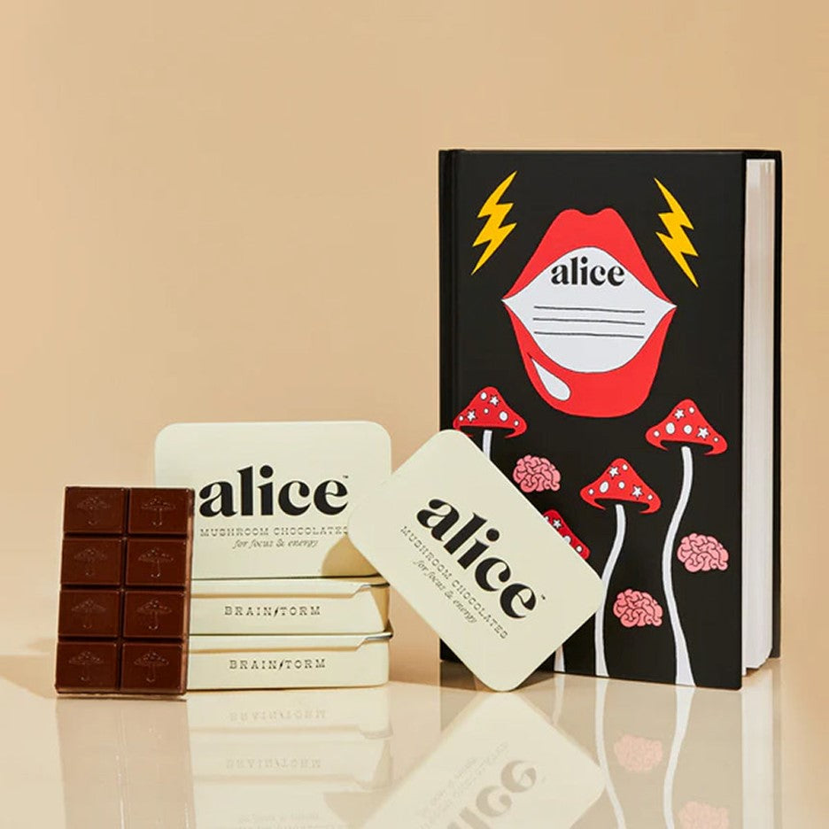 Alice - Focus