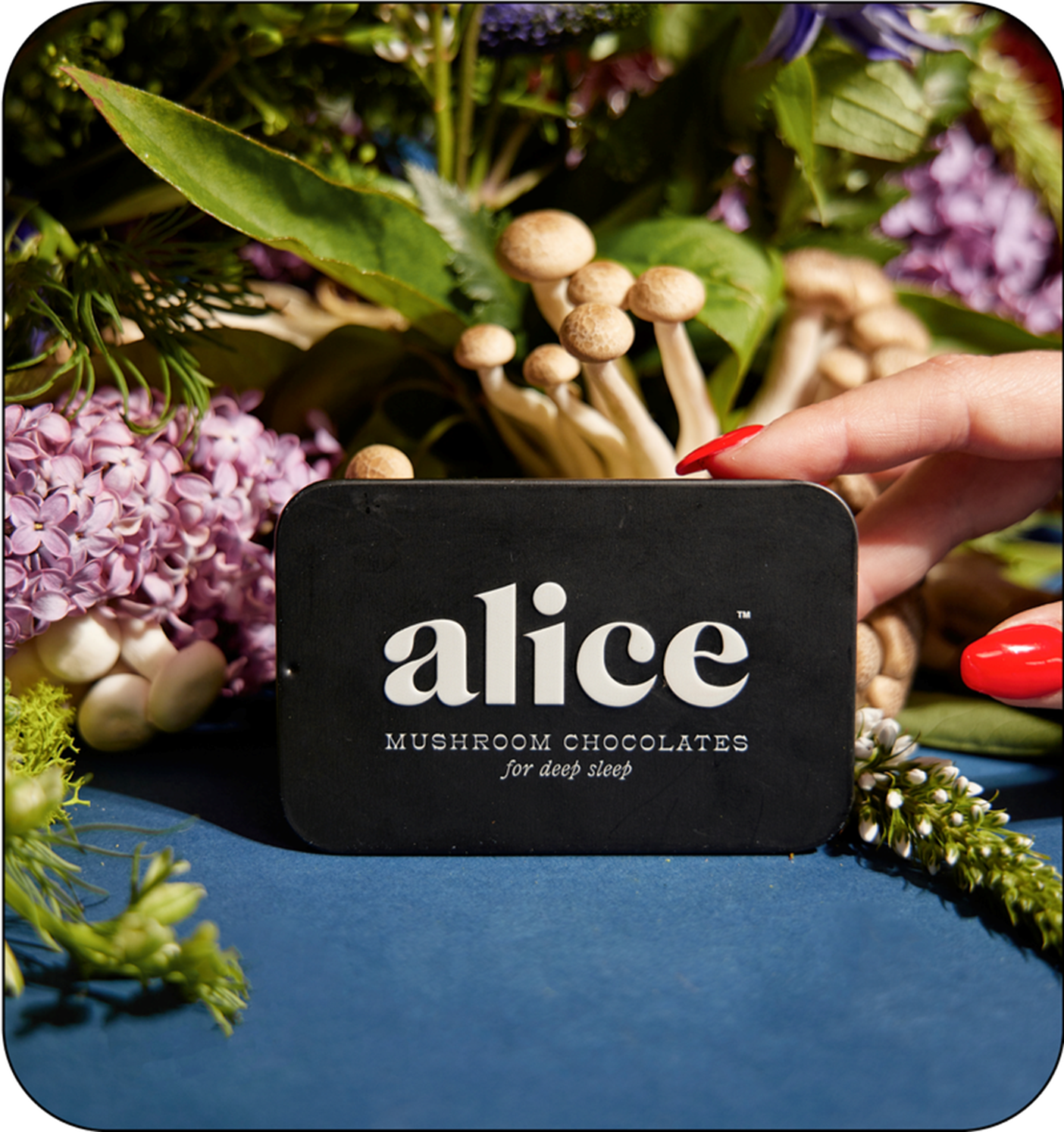 Alice - Sleep